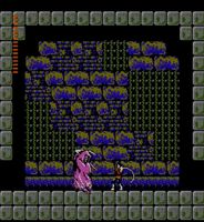 une photo d'Ã©cran de Castlevania 2 - Simon s Quest sur Nintendo Nes